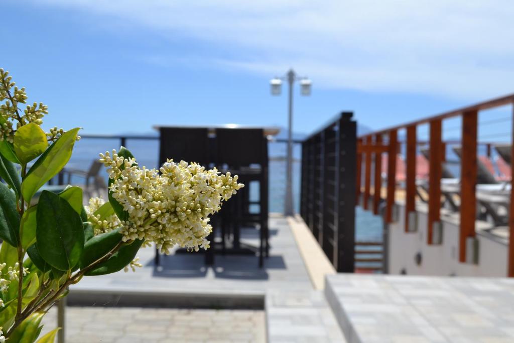 Havania Apartments — Restauracje i bary in Elounda
