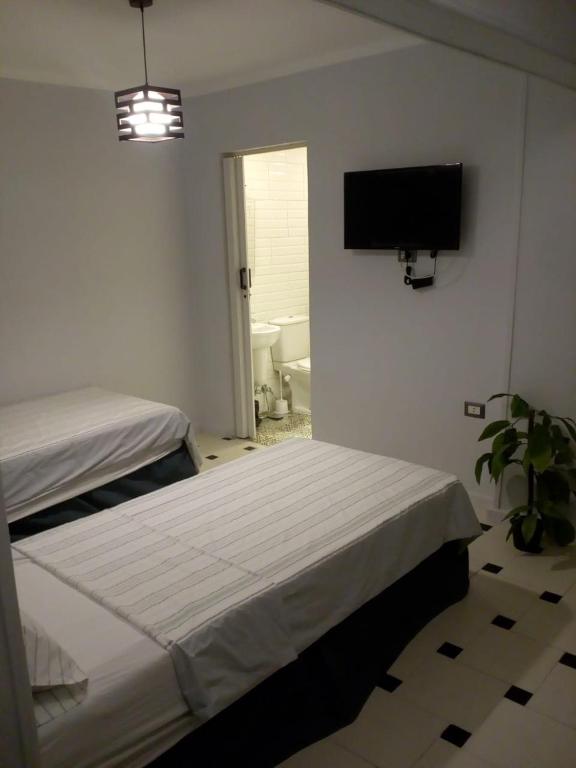 Venus Hostel, Káhira