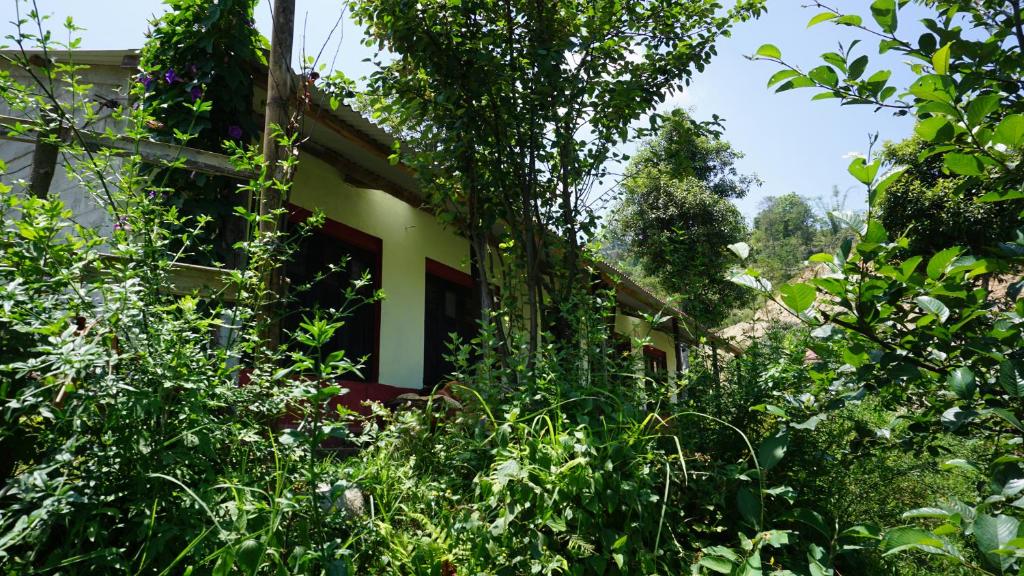 Hotels Nagarkot  Nepal price from  45 Planet Hotels