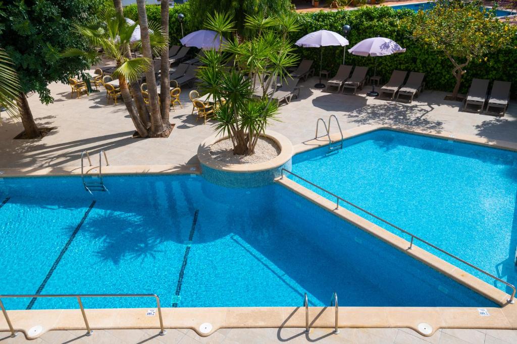 FLOR los Almendros Hotel — Swimming pool in Peguera, Balearic Islands