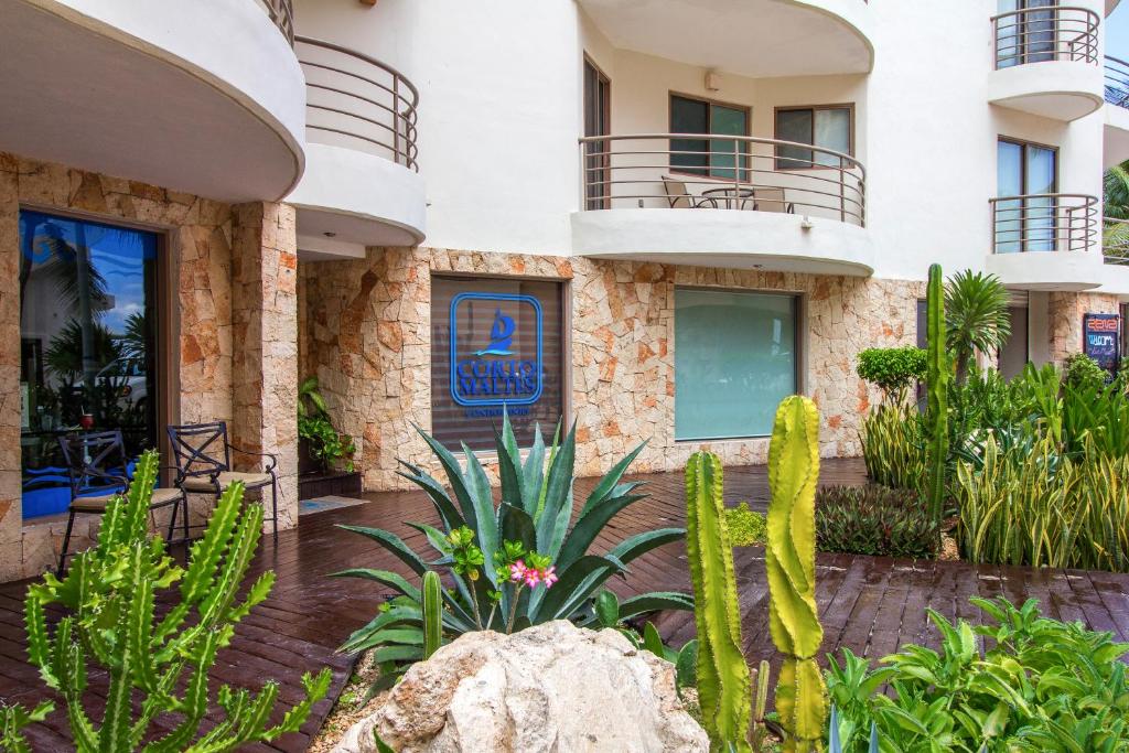Corto Maltes 203 Apt 2 bedroom ocean view - 5
