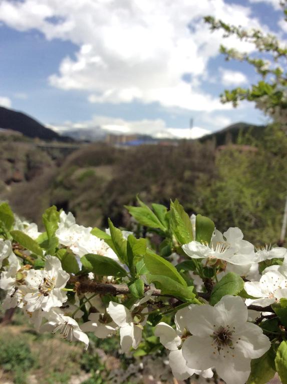 Rest home Jermuk photo