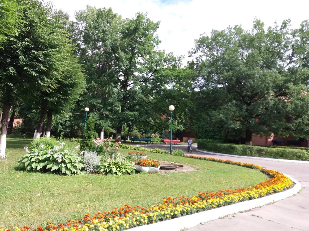 Zvenigorodsky Resort photo