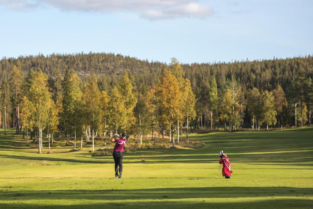 Golf course [on-site]