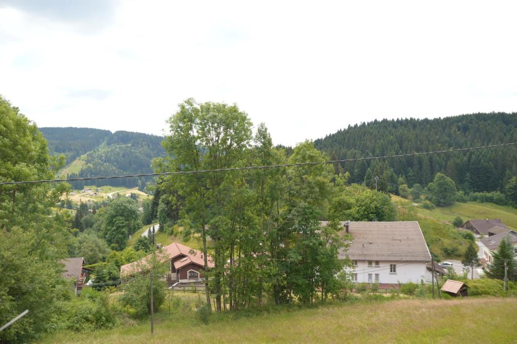 Chalet du Tremplin - 2