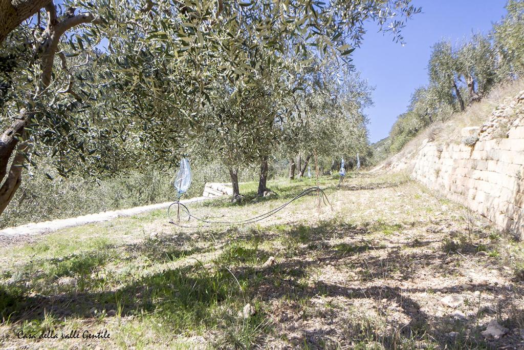 Casa della Valle Gentile photo