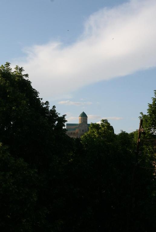 35 Paliashvili photo