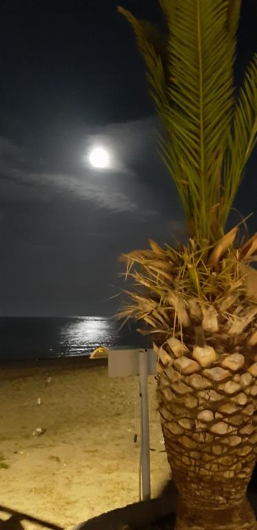 SEA VIEW APARTMENTS Aphrodite photo