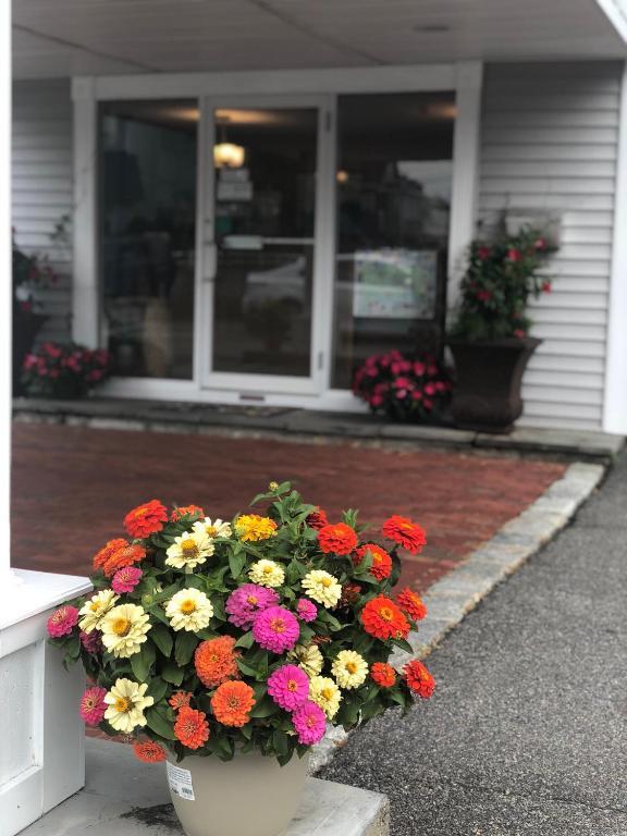 SeaCoast Inn photo