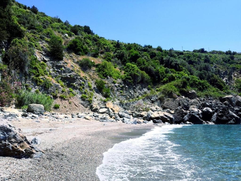 Zeytinada Pansiyon ve Gozleme photo