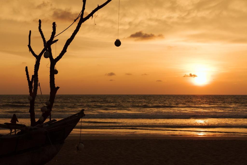 Surrounding environment