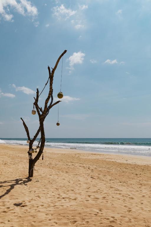 Surrounding environment