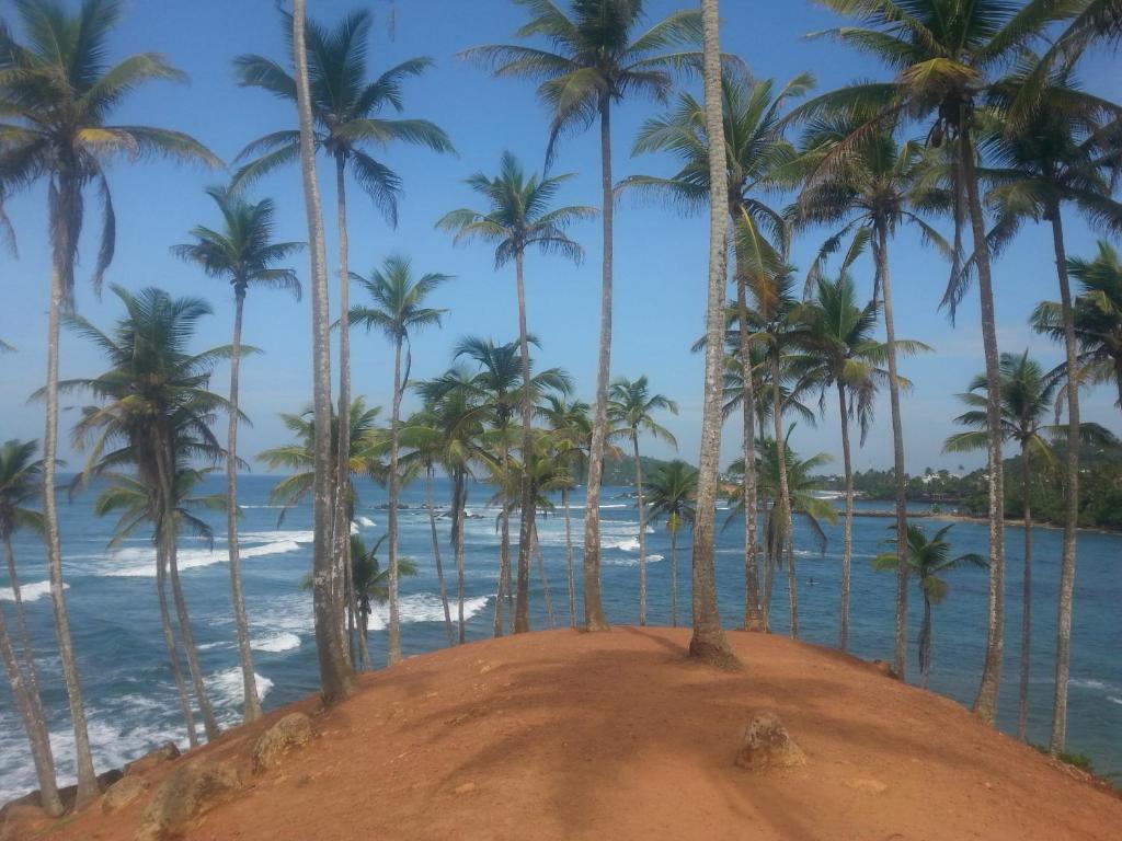 Sun Ocean Inn Mirissa photo