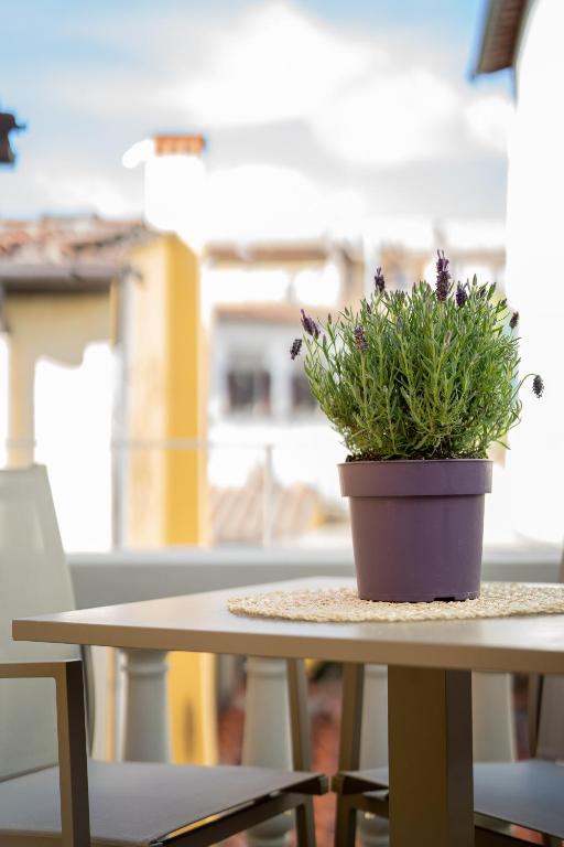 Olive Loft photo