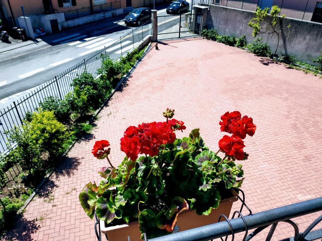 Casa Marina - 1