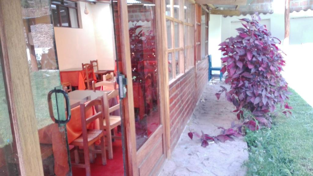 Hostal Pachar - 5