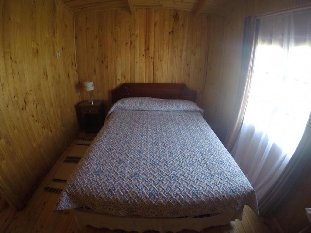 Cabañas Alfa Colbun Machicura - 5