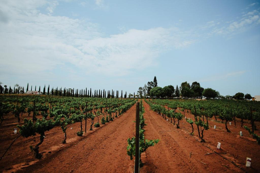 Surrounding environment