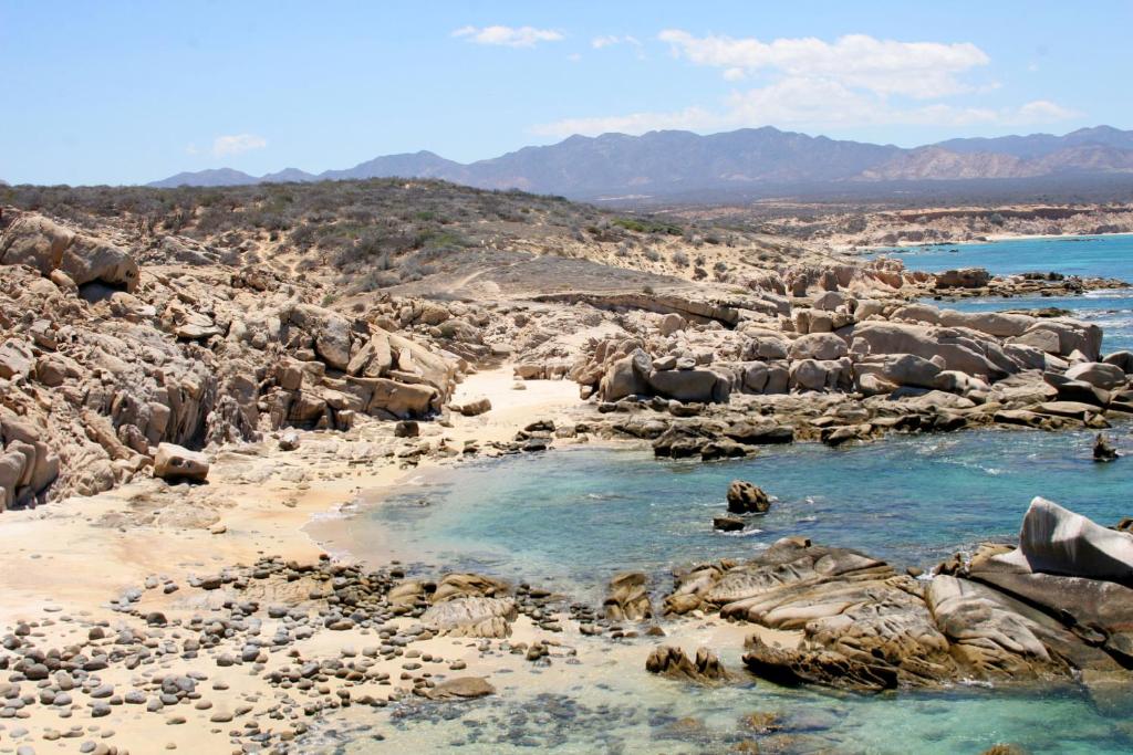 Surrounding environment