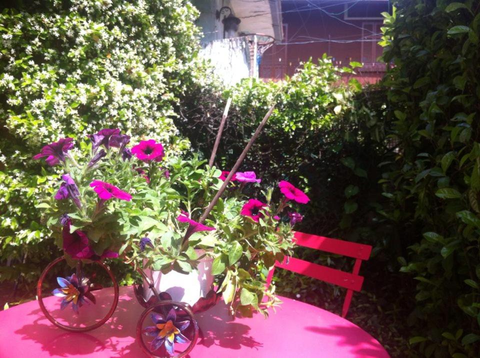 Appartamento Lago Maggiore - 1