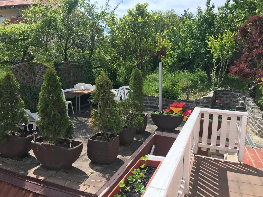 Friends Villa Apartments 2 전경