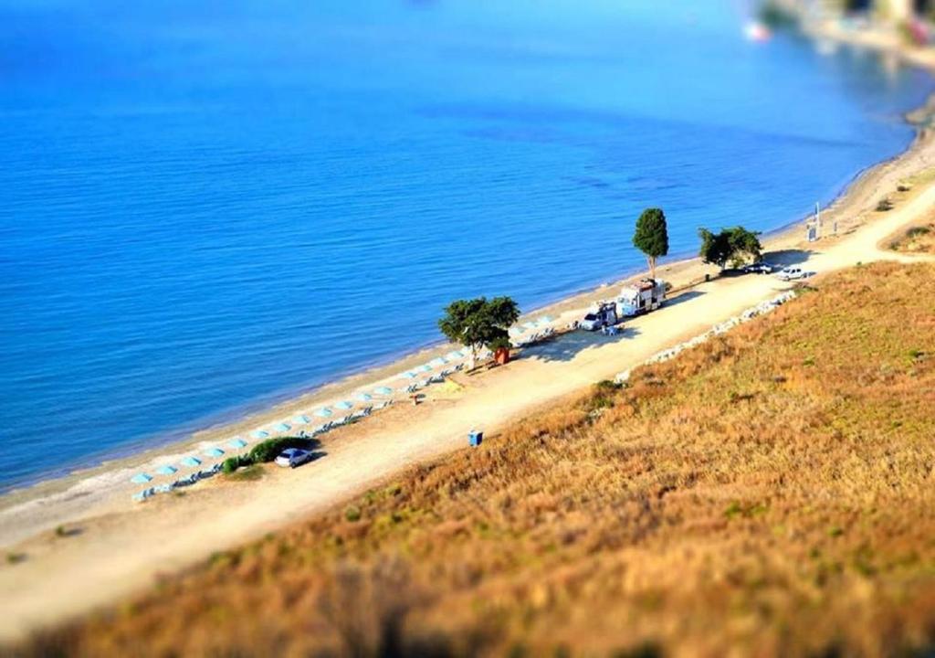 Surrounding environment