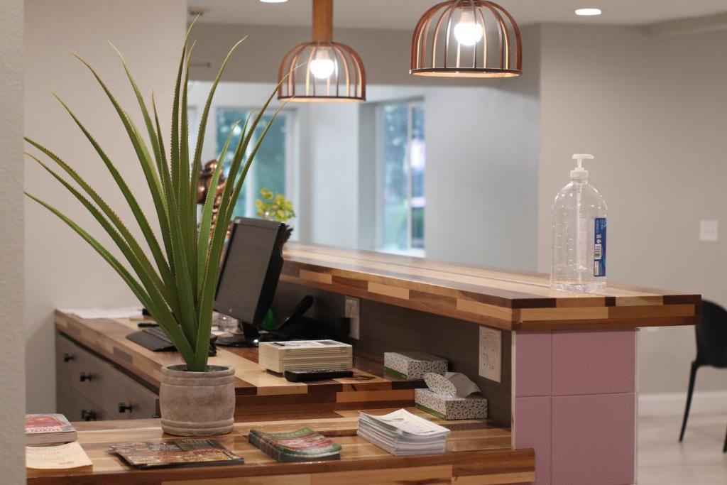 Arya Inn And Suites Photo 8