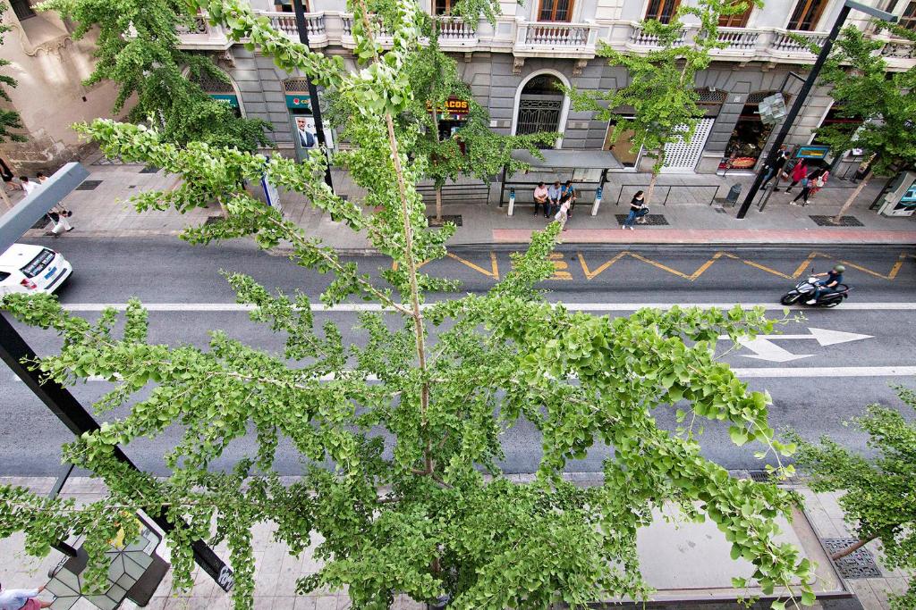 Gran Vía Luxury 3BR - 4