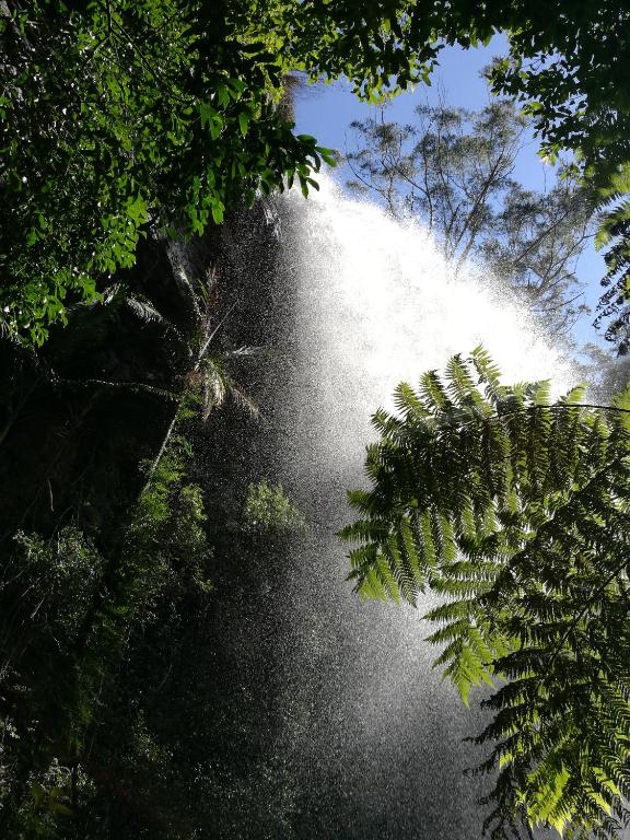 Springbrook Storybook — Hotel in Gold Coast