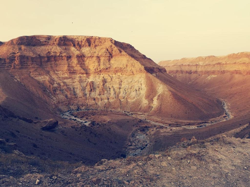 Surrounding environment