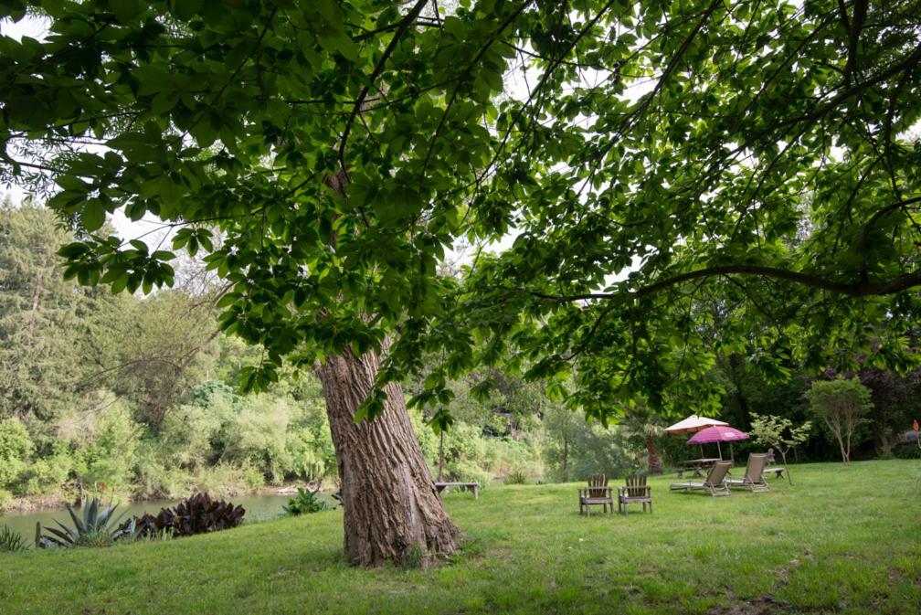 River View Garden Resort photo