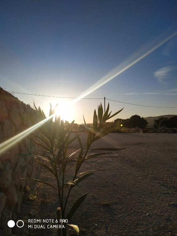 Villa Tramonto Keri photo
