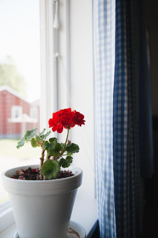 Visingso Vandrarhem photo
