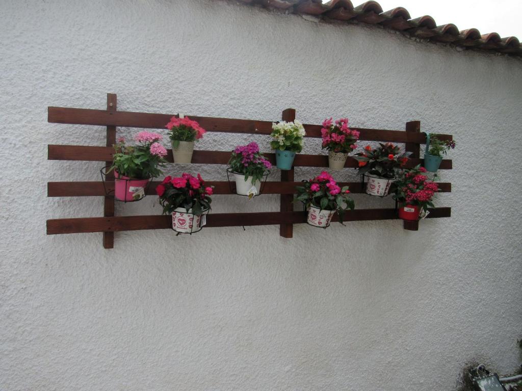 Garden's House photo