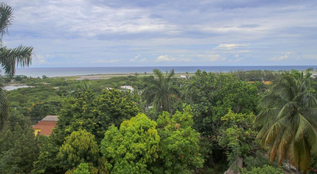 Guest houses in Montego Bay, Jamaica
