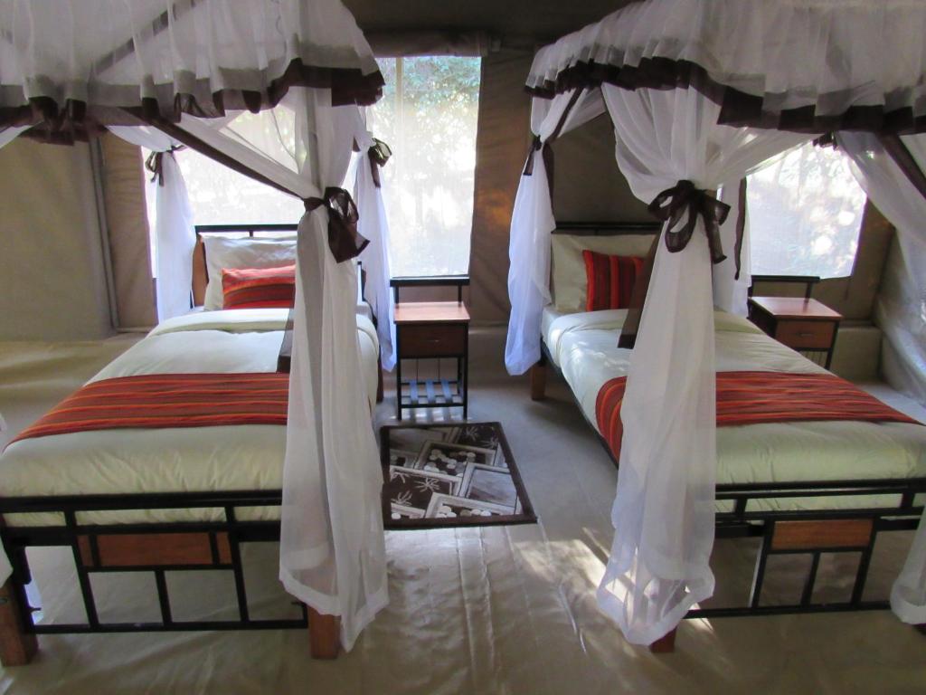 Enchoro Wildlife Camp Masai Mara photo