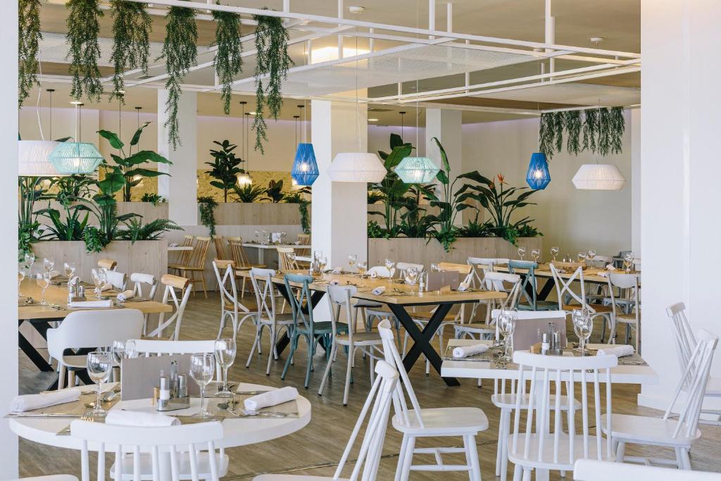 Alua Village Fuerteventura - All Inclusive — Restaurant & bars in Esquinzo, Canary Islands