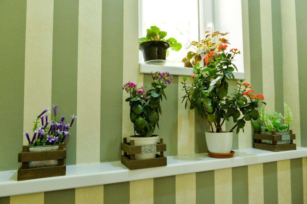 Friendly Guest House photo