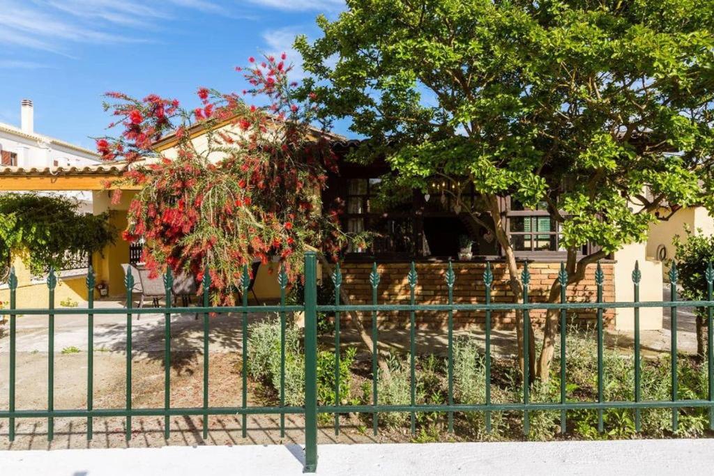 Maria's Countryside House photo