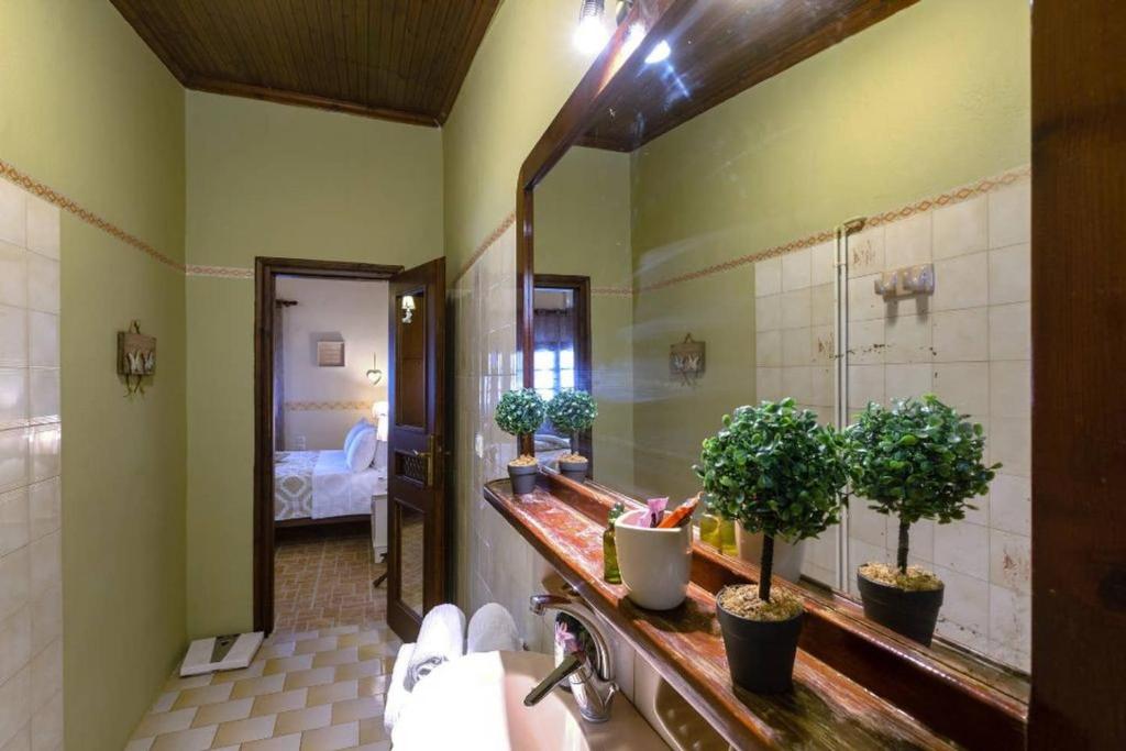 Maria's Countryside House photo