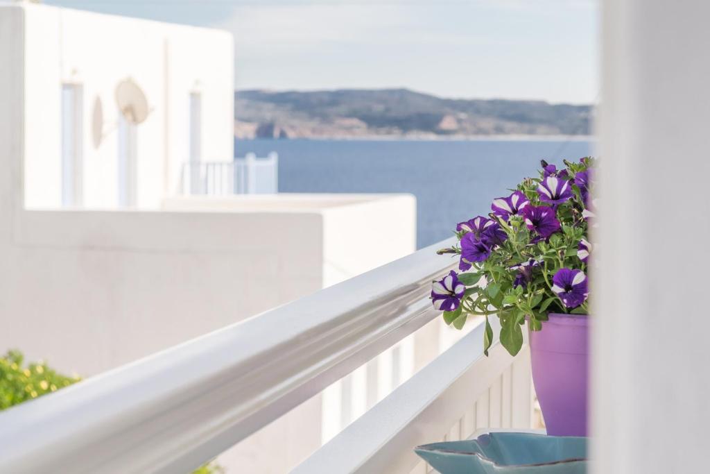 Ianthe Home photo