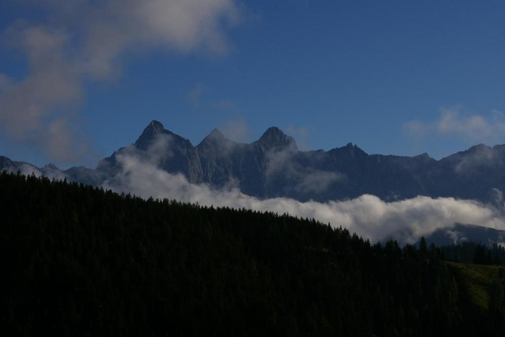 Innviertler Berggasthof - 2