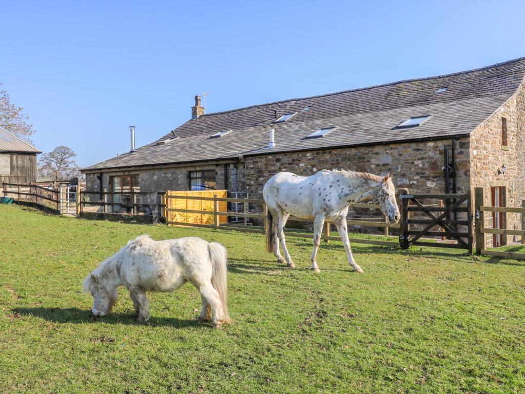 Stable View Cottage, Clitheroe photo 8
