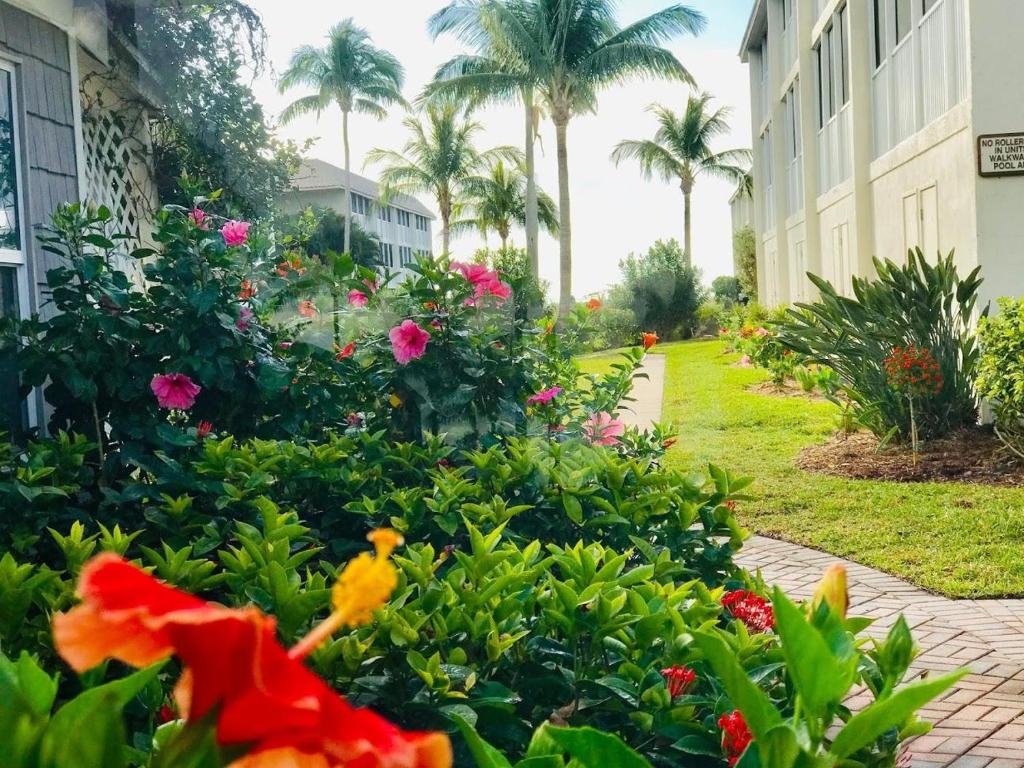 Popular attractions Area Nearby Property