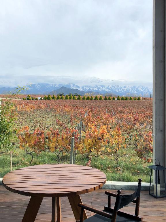 Casa de Uco Vineyards and Wine Resort photo