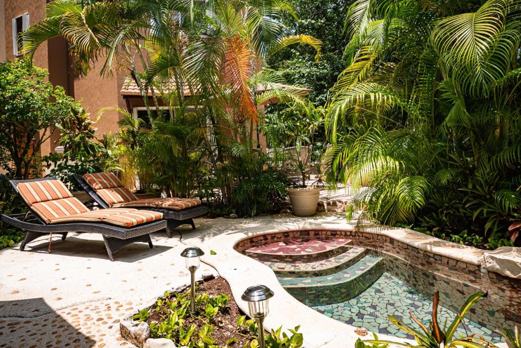 Casa Cascada - 3 BDRM house for 6, close to the beach - 1