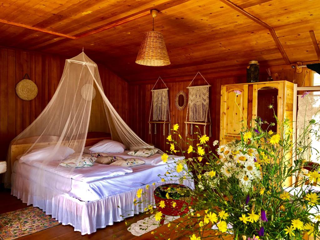 Dream Tricule — Hotel in Svinita