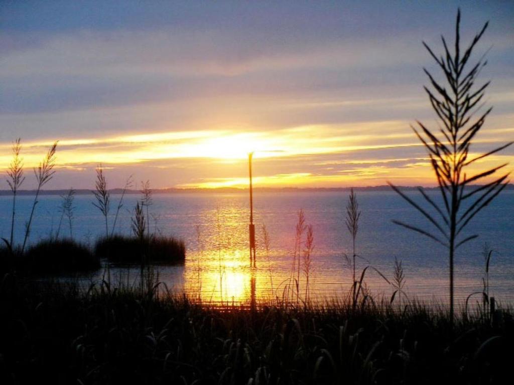 Sunset Royale photo