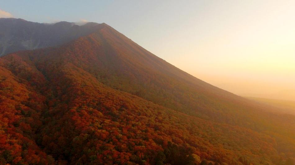 Surrounding environment