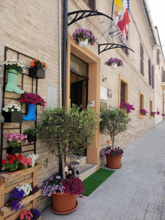 Domus Pacis Loreto- Casa per ferie photo